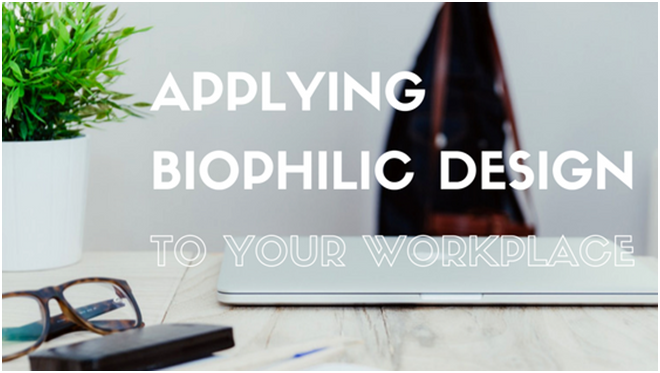 Applying Biophilic design to your workplace