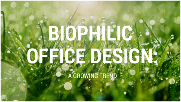Biophilic office design: A growing trend